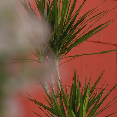Stylish For 2 Guests With A Spacious Balcony In By Renters * Катовице